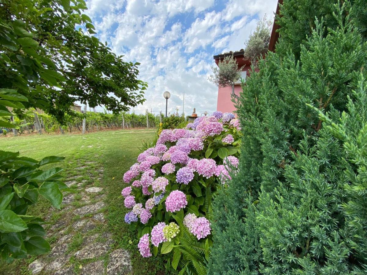 B&B La Sirenetta Diamante Exteriör bild